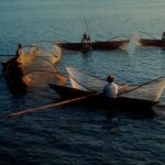 Cooperation Versus Competition – A Biological, Philosophical Perspective