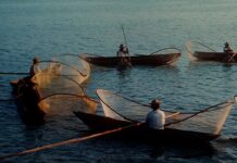 Cooperation Versus Competition – A Biological, Philosophical Perspective