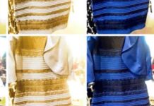 A Scientist Explains The Cognitive Disconnect Of “The Dress”