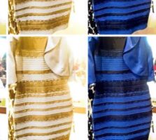 A Scientist Explains The Cognitive Disconnect Of “The Dress”