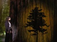 Meet Idina Menzel’s Latest Broadway Co-Star: A Tree