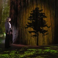 Meet Idina Menzel’s Latest Broadway Co-Star: A Tree