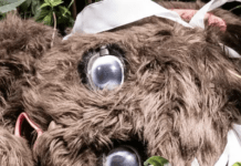 Can An Artist Truly ‘Collaborate’ With Another Species?