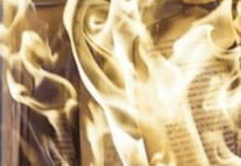 The True Purpose Of Book Bans Isn’t Exactly Hidden