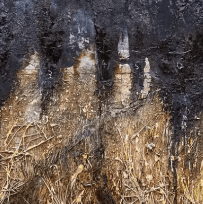 In The Netherlands, Anselm Kiefer Wonders If Humans Will Ever Learn