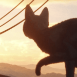 Is This The First Oscar-Winning Movie That Appeals To Our Domestic Companions?