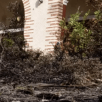 The Getty Villa Could Have Burned To The Ground