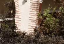 The Getty Villa Could Have Burned To The Ground