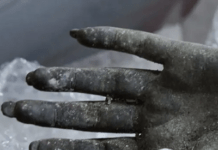 The Artists Who Lost Everything In Altadena Wonder What Comes Next