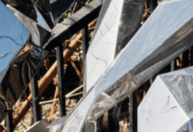 Can Art Survive The Climate Crisis?