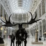 Good News For The British Museum – People Really Like To Visit It