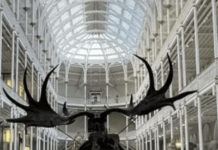 Good News For The British Museum – People Really Like To Visit It