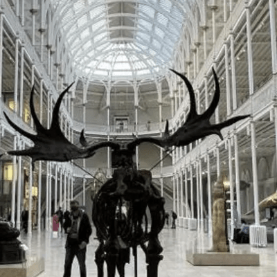 Good News For The British Museum – People Really Like To Visit It