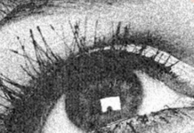 Open AI’s Video Tool Sora Plagued With Racist, Sexist, Ableist Biases, Study Finds