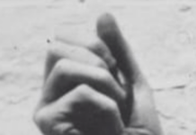 How Can Arts Grantwriters Deal With Trump’s Various Orders And Plans?