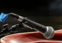 This Dinosaur Choir Might Tell Us How At Least One Of The Giants Sounded