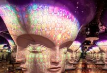 Meow Wolf To Open Giant Immersive Space In New York