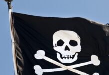 Authors Mock Meta For “Bob Dylan Defense” In Copyright Case