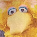 What Cancellation Of Big Bird Tells Us About The State Of Our Public Good