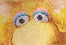 What Cancellation Of Big Bird Tells Us About The State Of Our Public Good