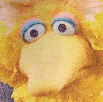 What Cancellation Of Big Bird Tells Us About The State Of Our Public Good