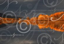 AI Versus Copyright Just Got More Hard Core: Google Gemini Removes Watermarks