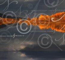 AI Versus Copyright Just Got More Hard Core: Google Gemini Removes Watermarks