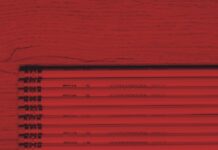 Considering The Problematic Revenge Memoir