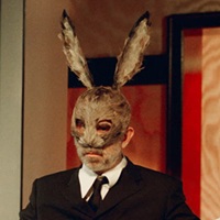 A Rabbit On The Couch In A Psychoanalyst’s Office