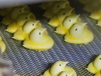 How Marshmallow Peeps Are Born