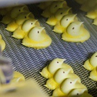 How Marshmallow Peeps Are Born