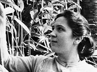 April Fool’s Day Ads Used To Be Fun, And Folks Loved Them. Not Anymore. What Happened?