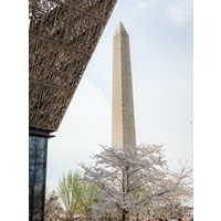Trump, The Smithsonian, And Dueling Conceptions Of American History