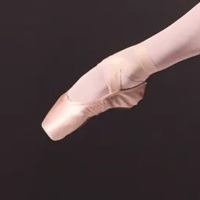 U.S. Ballet World’s Favorite Shoemaker Is Sold To Private Equity Firm