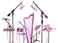 Expanding The Repertoire For Harp Is A Tricky Business