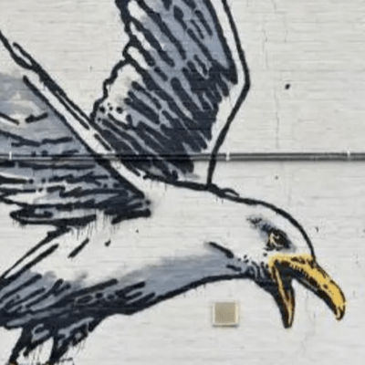 What To Do If You Wake Up With A Banksy On Your House