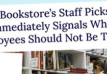 How Does Reductress So Deeply, Accurately, And Concisely Satirize Readers?