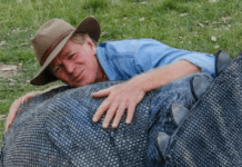 An Australian Town Decided To Remake Jurassic Park