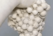 In Italy, A Treasure Trove Of Recovered Black Market Art Goes On Display