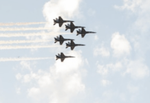 The Current President Says He Wants To Take All Of Taxpayers’ NEH And NEA Money And Spend It On His So-Called Garden Of Heroes