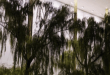 More Cuts Hobble The Kennedy Center In A Variety Of Departments