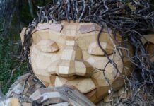 Data On The Relationships Between Arts And Building Community