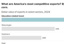 The US’s Biggest Export Is Education. Is Trump Wrecking It?