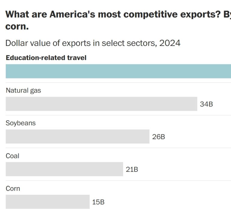 The US’s Biggest Export Is Education. Is Trump Wrecking It?