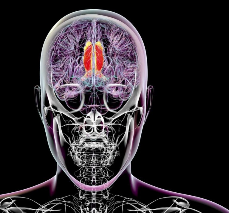 Scientists Believe They’ve Found The Part Of The Brain That Perceives Consciousness