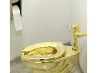 One Suspect In Theft Of Gold Toilet Avoids Prison