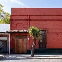 A New Frida Kahlo Museum In Mexico City, Right Next To The Casa Azul