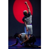 Dance World Surveys Damage Already Done By Withdrawal Of NEA Grants
