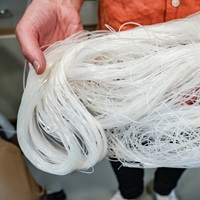 Great News For Art Conservators: There’s A New Specialty Glue That Looks Like Rice Noodles