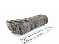 Researchers Identify Author Of Ancient Scroll Carbonized By Vesuvius